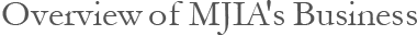 Overview of MJIA's Business