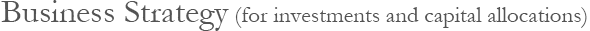 Business Strategy (for investments and capital allocations)